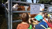 2018-09-13 Vstava skotu